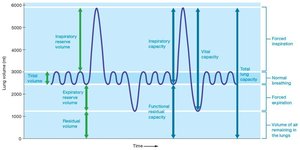 Graph of pulmonary volumes and capacities