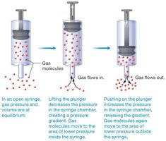 Pressure gradients and airflow in an open syringe