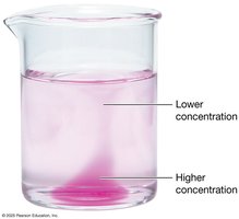 Diffusion in a beaker