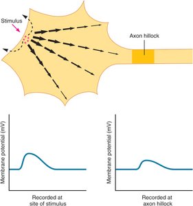Decremental property of graded potentials.