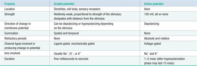 Comparison of graded and action potentials.