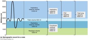 Respiratory volumes and capacities
