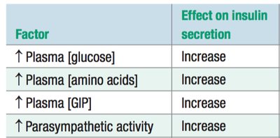 Factors affecting insulin secretion