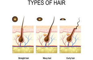 Types of hair: straight, wavy, curly