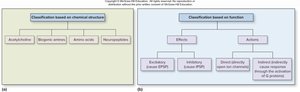 Classification of neurotransmitters