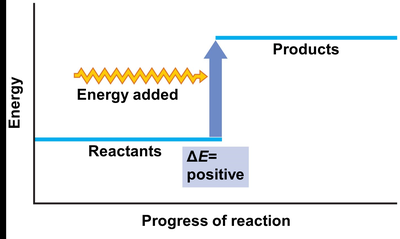 Endergonic Reactions