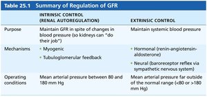 Summary of Regulation of GFR