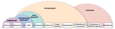 Levels of organization and related fields of study