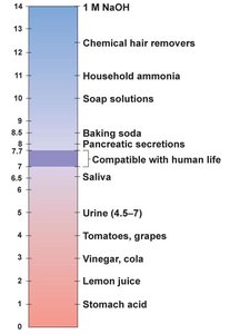 pH scale with examples