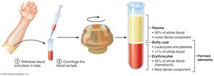 Blood sample centrifugation showing plasma, buffy coat, and erythrocytes