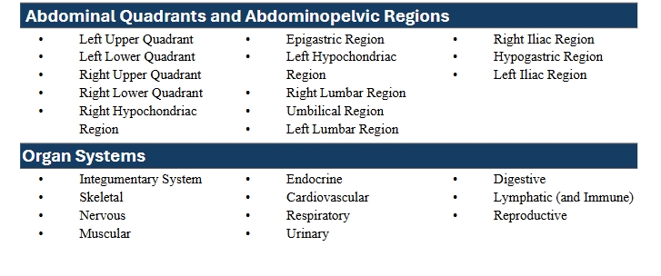 Table of abdominal quadrants and organ systems