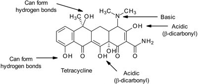 Structure of tetracycline showing functional groups that enhance water solubility