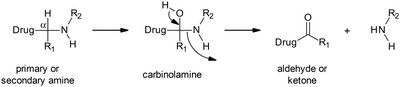 Mechanism of oxidative deamination