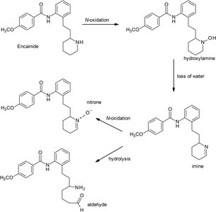 CYP450 or FMO catalyzed N-oxidation of the secondary amine of encainide