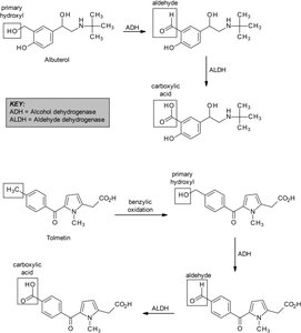 Oxidation of primary hydroxyl groups to aldehydes and carboxylic acids