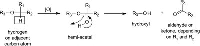 Mechanism of O-dealkylation