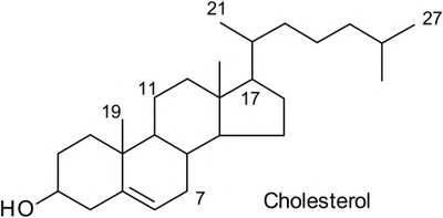 Cholesterol structure with numbered carbons relevant to CYP families