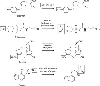 Examples of drug molecules undergoing oxidation reactions