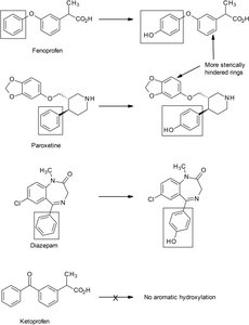 Examples of aromatic hydroxylation catalyzed by CYP450 enzymes