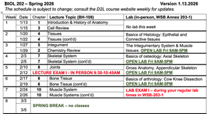Course conduct rules