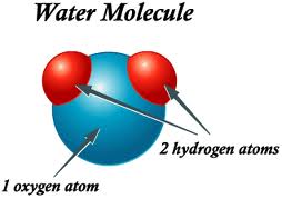Water molecule: 1 oxygen atom and 2 hydrogen atoms