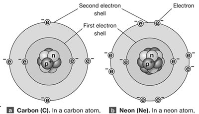 Electron shells of carbon and neon atoms