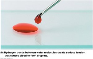 Surface tension due to hydrogen bonding