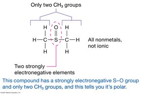 Identifying polar compounds