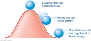 Potential and kinetic energy