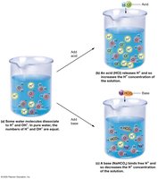Behavior of acids and bases in water