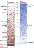 The pH scale
