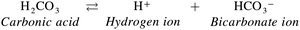 Carbonic acid-bicarbonate buffer system
