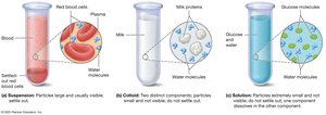 The three types of mixtures: suspension, colloid, solution