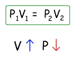 Diagram of normal intrapleural pressure