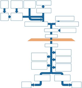 Major veins of the systemic circulation