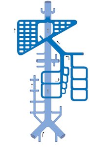 Veins of the abdomen, schematic flowchart
