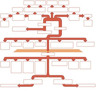 Major arteries of the systemic circulation
