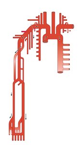 Arteries of the right upper limb and thorax
