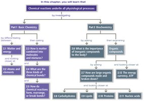 Chapter flowchart: chemical reactions underlie all physiological processes