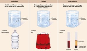 Comparison of solution, colloid, and suspension