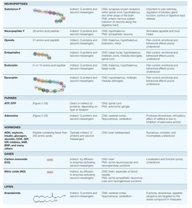 Table of neuropeptides, purines, hormones, and lipids as neurotransmitters