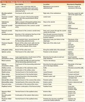 Table of major systemic arteries