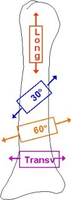 Bone loading directions: Long, 30°, 60°, Transverse