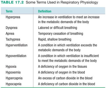 Table of respiratory physiology terms