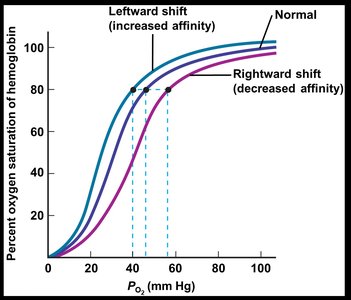 Shifts in the oxyhemoglobin dissociation curve