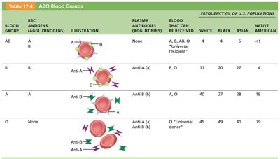 Table of ABO blood groups, antigens, antibodies, and compatibility