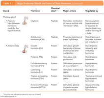 Table: Pituitary gland hormones