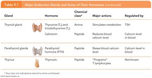 Table: Thyroid, parathyroid, and thymus hormones