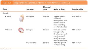 Table: Gonadal hormones