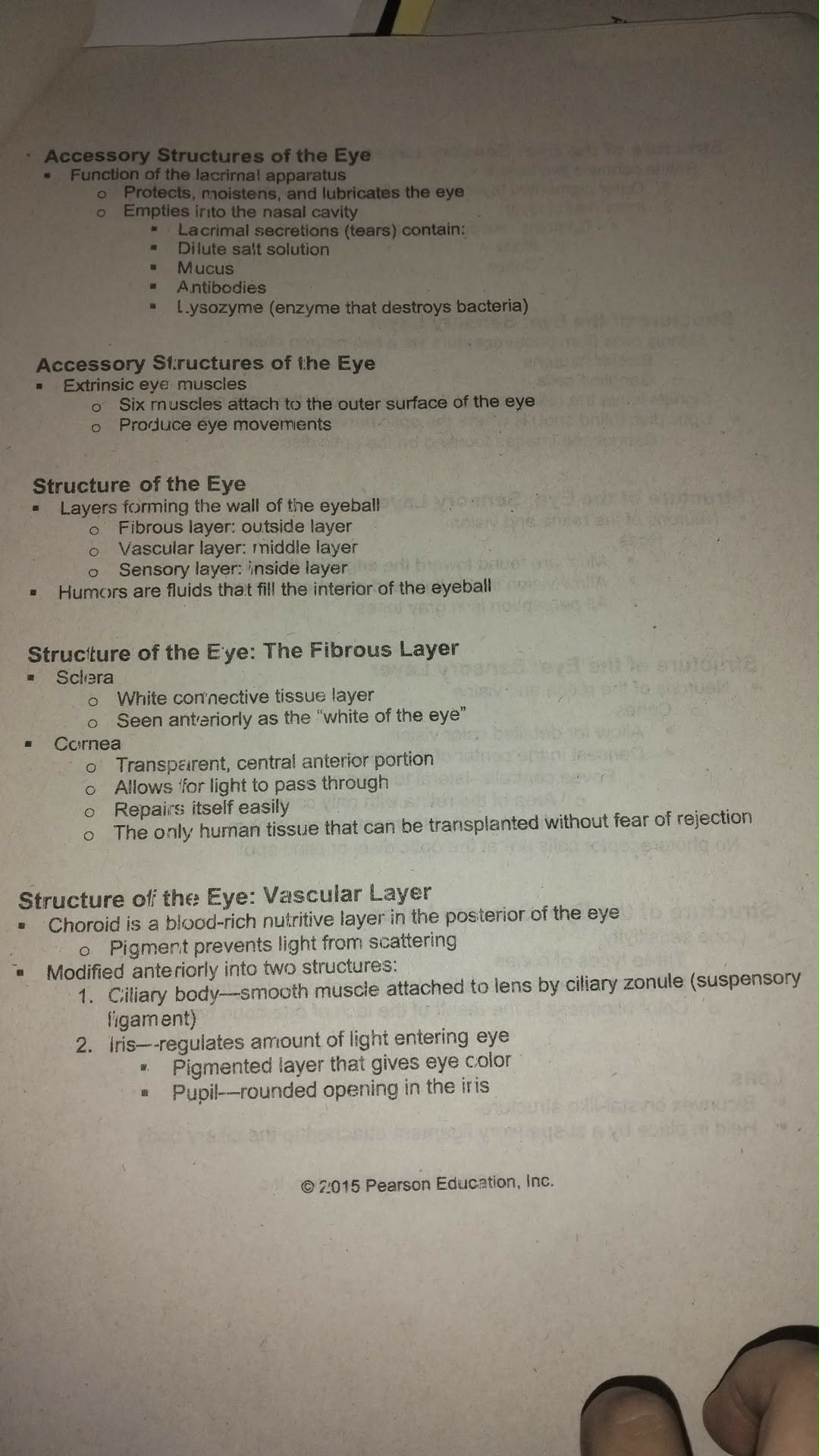 Handwritten and printed notes on the accessory structures and layers of the eye